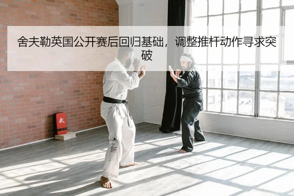 she-fu-lei-ying-guo-gong-kai-sai-hou-hui-gui-ji-chu-tiao-zheng-tui-gan-dong-zuo-xun-qiu-tu-po-2-439.jpg